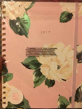 2017 Ban.do monthly agenda 1