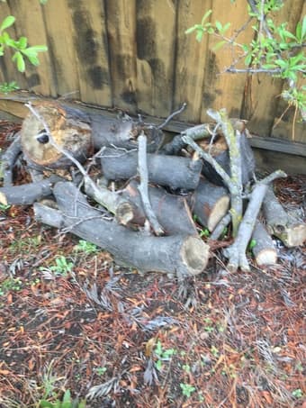 Fireplace wood for sale $15 1