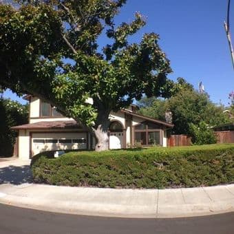 $1200 Beautiful HUGE house biking to Stanford, Google, Caltrain 1
