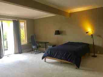 Huge Sunny Bedroom (400+ sq ft) in Mansion w/ Heated Pool & Hottub 2