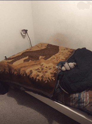 $20/NIGHT! Downtown Palo Alto, Hippie House 2