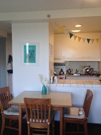 EV 1 BR apartment sublet - December 15 / January 10 3