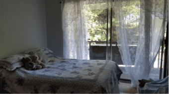 PRIVATE LARGE BEDROOM in 3-bedroom apt. -  MOUNTAIN VIEW 2