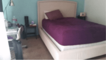 PRIVATE LARGE BEDROOM in 3-bedroom apt. -  MOUNTAIN VIEW 2