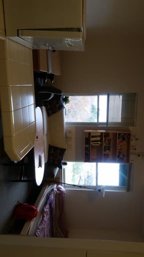 studio on campus dec 15 to Jan 8th. 2