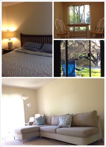 Palo Alto luxury apartment for rent available 1/1/2017 1