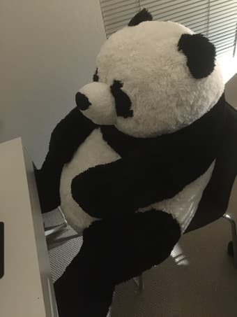 Big Panda plush toy 1