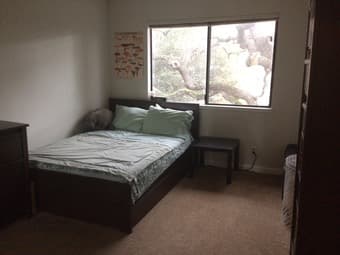 Room in Palo Alto Pad Available Feb 1 1