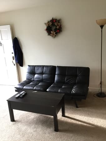 Couch and Coffee Table 1