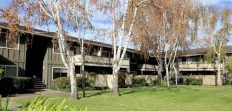$1050 / 100ft2 - Room w/ Shared Bath in 3br/2ba Apartment in MV 1