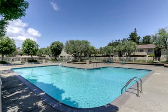 Quiet 1 bedroom poolside condo in Mountain View available immediately! 3