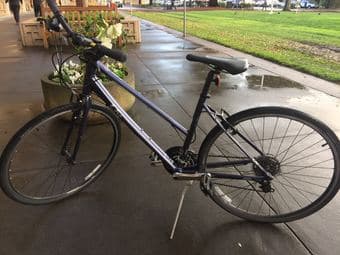 Hybrid Bike 1