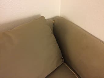 Large, comfortable couch with pullout mattress 2