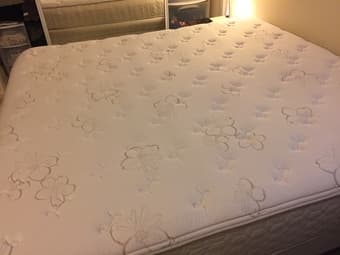 Sealy Posturepedic (European) King Size Mattress + Box Springs + BedFr 1