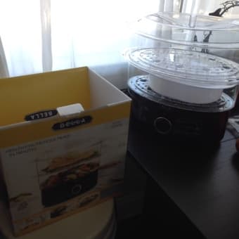 Electric Steamer ( New) for healthy cooking. 1