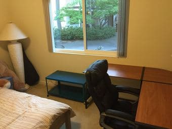 price reduced 50%. office desks and chairs. floor lamps. 3