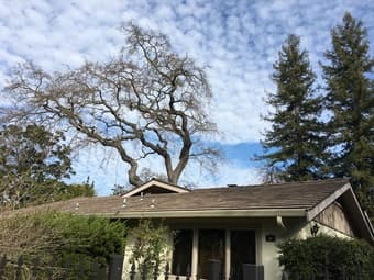 Menlo Park 獨立屋 Single House 房間出租 room for rent 2
