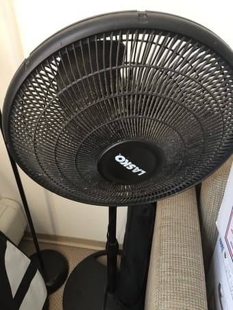 Fan 1