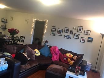 1bed/1bath in 2bed/2bath apartment. W/D in-unit. $1750 + utilities 2