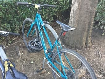 Blue/Green Giant Alight ($100 - includes helmet & U-lock) 1