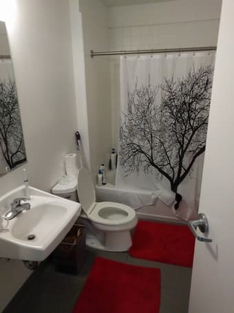Sublet Lyman 2BR 1 Bath Male June 16-Sept 23 2017 1