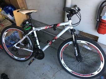 Genesis 29 For Sale 1