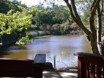 Portola Valley In-Law Apt. 1