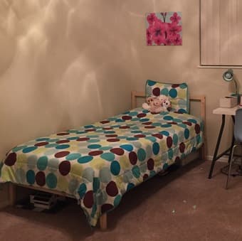 Reduced Price - Twin Bed and Mattress 1