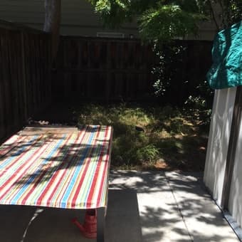 2/1 Townhouse share for female 3