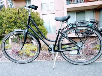 Rayleigh Superbe (MD/LG) + U-Lock + Side Basket (only for NEXT 2 DAYS) 1