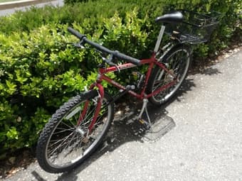 Mountain bike 1