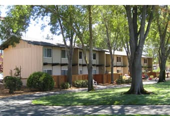 Cozy, inexpensive room 5 minutes from campus for the summer term! 2