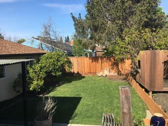 Room available in awesome 4-bedroom house 3