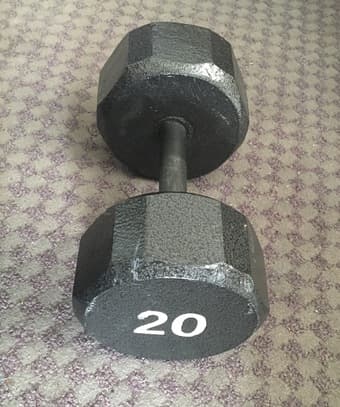 20 lb dumbbell 1