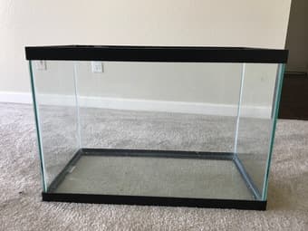 20 Gallon Aquarium + Starter Kit 2