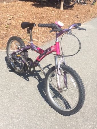 20 inch girl's mtn bike 1