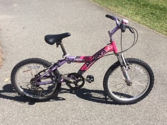 20 inch girl's mtn bike 2
