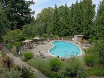 1 bed/private bath in a 2b/2ba gorgeous condo in Mountain View(FEMALE) 2