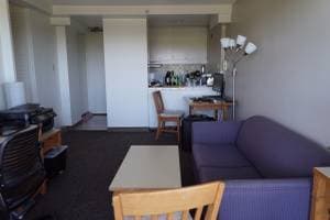 1 BR/BA apartment on EV, June9-June23 2