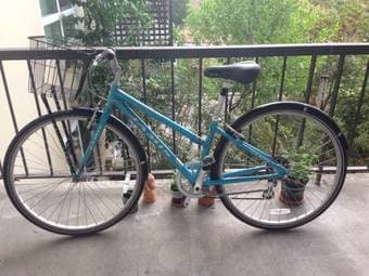 Women's Jamis Commuter Bike 1