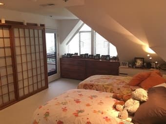 Luxury downtown penthouse for June July August 2