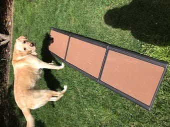 pet ramp 3