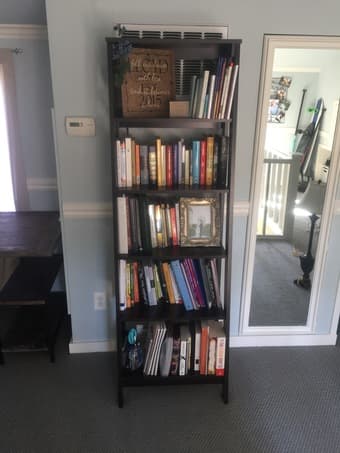 Book shelf (moving sale!) 2