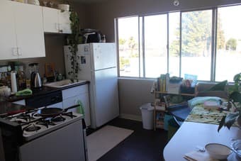 Sunny Apartment Summer Sublet in Mountain View 2