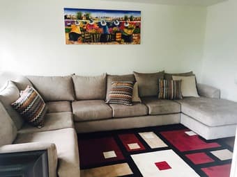 Lovely living and dining room set, rug 1