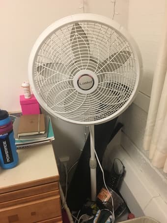 Fan for sale 1