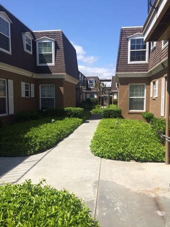 one bedroom, one bathroom 公寓出租 (Mountainview) 1