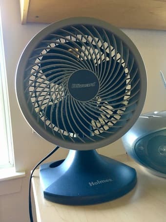 Fan for sale only 10$ 1