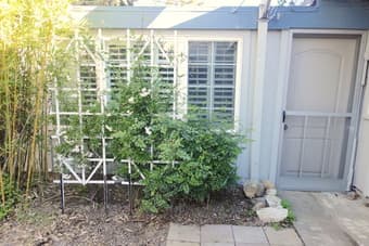 1BR in Cupertino with Private Entrance and Bath for rent near Main St 2