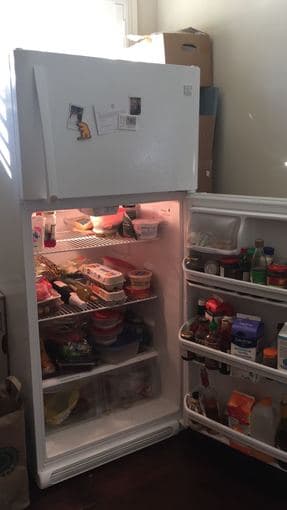 Refrigerator: 9 months old 2